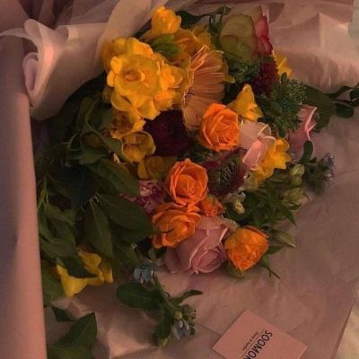 ky体育下载手机版