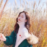 4949澳门免费资料大全下载手机版